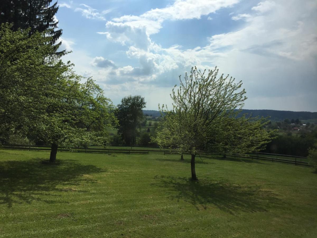 Pension Berghof Schonsee Екстер'єр фото